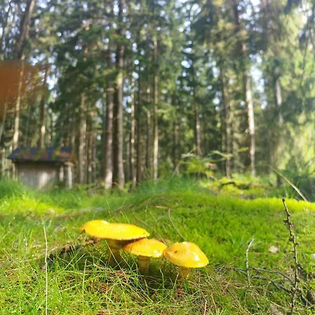 U Golebiewskich * Chromiec (Lower Silesia)