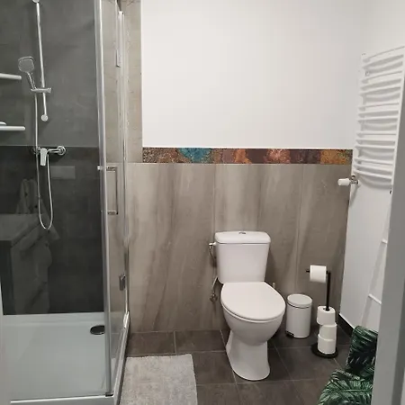 U Golebiewskich Апартаменты Chromiec (Lower Silesia)